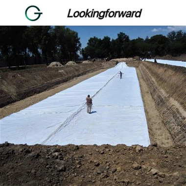 Geomembran LDPE